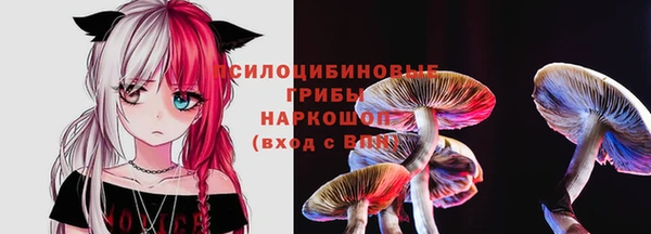 трава Арсеньев