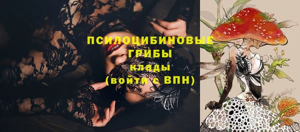 круглые Аркадак