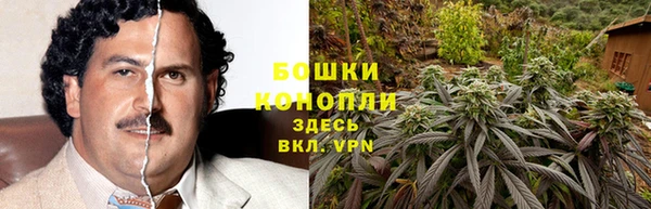 трава Арсеньев