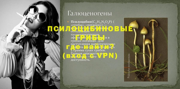 гашик Алексеевка